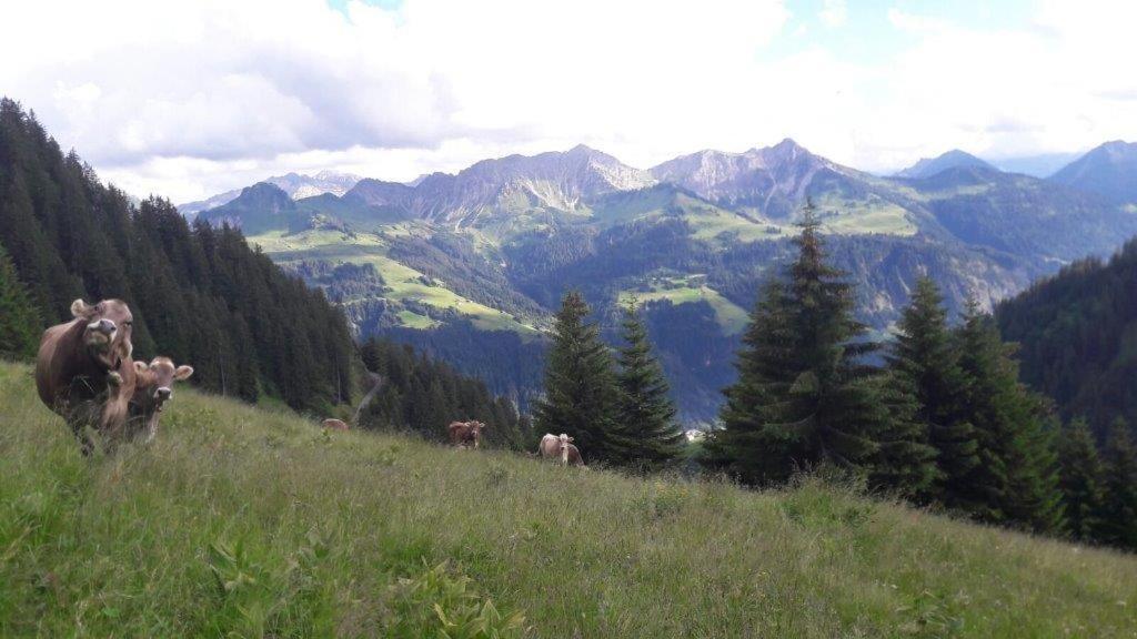Hotel Berghaus Schafer à Faschina Extérieur photo