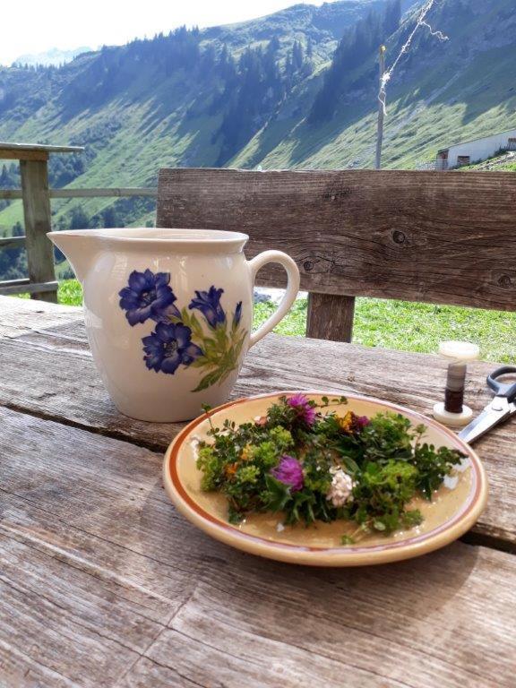 Hotel Berghaus Schafer à Faschina Extérieur photo